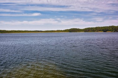 Orman gölünde güneşli bir gün.
