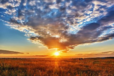Mavi gökyüzünde bulutlu çayır tarlasında gün batımı.
