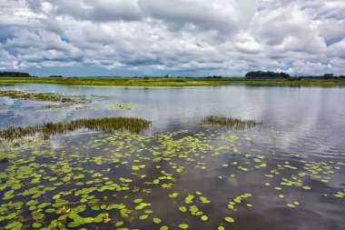 Nehrin üzerinde fırtına bulutları.