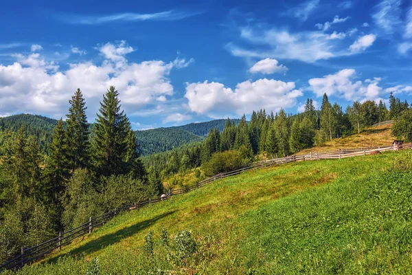 Mountains Forests Blue Sky Clouds — Stock Photo, Image