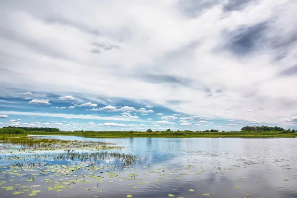 Día Soleado Sobre Orilla Del Río Caña Árboles Cielo Azul — Foto de Stock