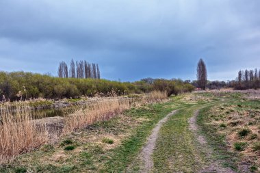 Bahar manzarası - nehir kenarındaki toprak yol, tarla, çalılar ve ağaçlar kasvetli gün.