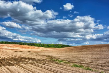 Kırsal alan - üzerinde mavi gökyüzü ve bulutlar olan tarlalar ve ormanlar.
