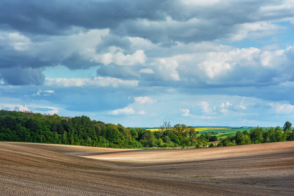 Rural landscape - plowed field and forest with blue sky and clouds over them.