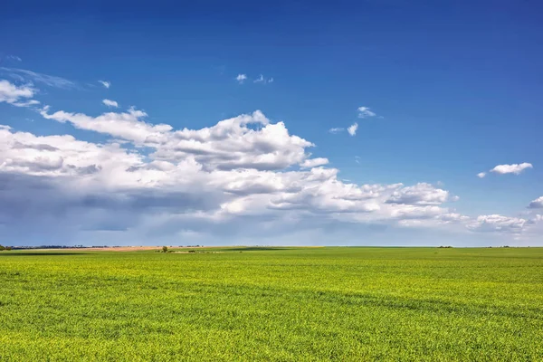 Rural Landscape Meadows Clouds Them — Stock Photo, Image