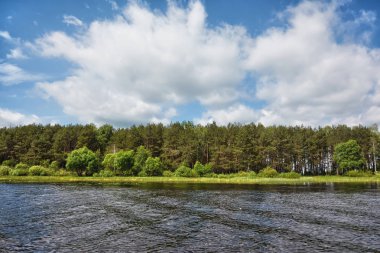 Nehir kıyısında güneşli bir gün. Sahildeki orman ve üzerinde bulutlar olan mavi gökyüzü..