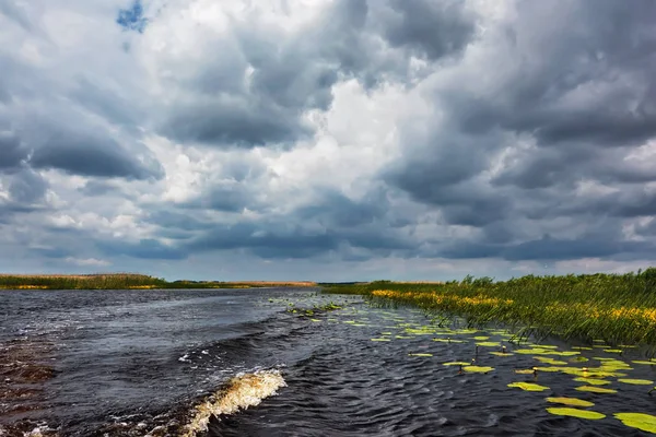 Sazlıklarla nehir kıyısında fırtına bulutları.