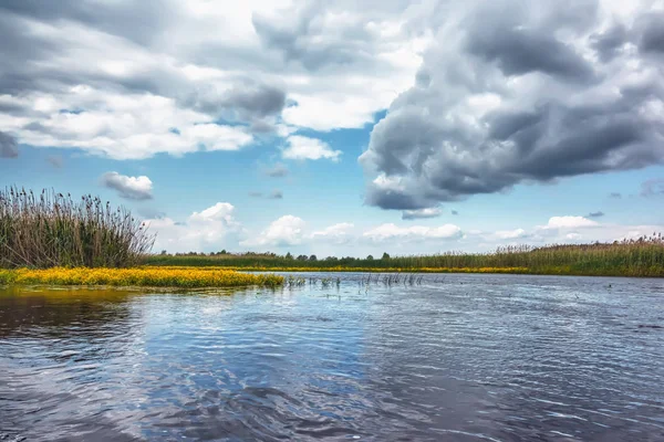 Giornata Sole Sulla Riva Del Fiume Reed Cielo Blu Con — Foto Stock