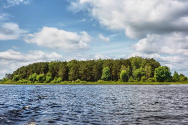 Gölde güneşli bir gün ve ormanın kıyısında. Mavi gökyüzü üzerlerinde bulutlarla.