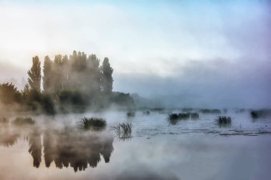 Sabah sis Nehri ve ağaçları ile sahil üzerinde.