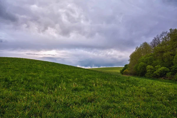 Evening landscape - sky with clouds over the meadows and forest.