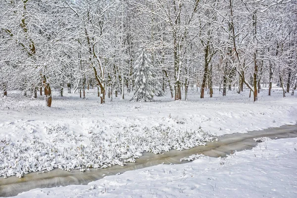 Árboles Nieve Orilla Del Río — Foto de Stock