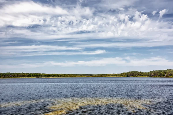 Día Soleado Lago Bosque Orilla Cielo Azul Con Nubes Sobre — Foto de Stock