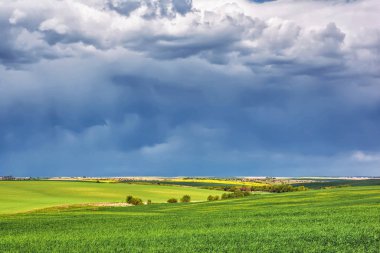Kırsal alan - üzerlerinde gök gürültüsü bulutları olan çayırlar.