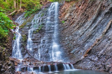Carpathian dağ şelalesi. Bitkilerle kaplı bir kaya..