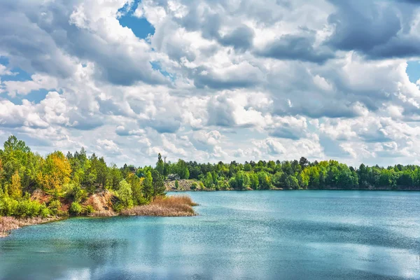 Lake Shore Covered Forest Sunny Day — Stock Photo, Image