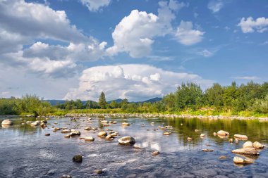Kıyıda ağaçlarla dağ nehri ve bulutlarla gökyüzü.