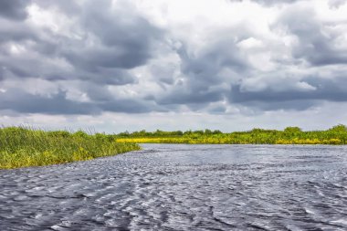 Sazlıklarla nehir kıyısında fırtına bulutları.