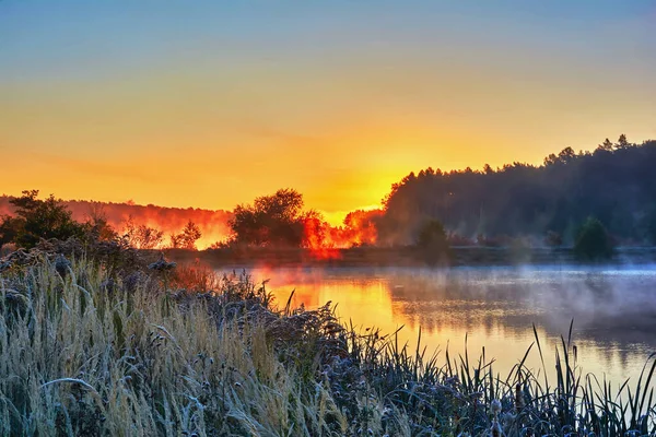 Sonnenaufgang Über Dem See Dichter Nebel Baumsilhouetten Den Strahlen Der — Stockfoto