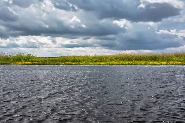 Nuvole Tempesta Sulla Riva Del Fiume Con Canne — Foto Stock