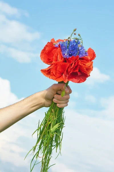 Hand with a bouquet of cornflowers and poppies against the sky.