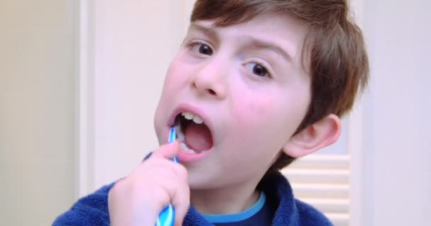 Junge beim Zähnewaschen — Stockvideo