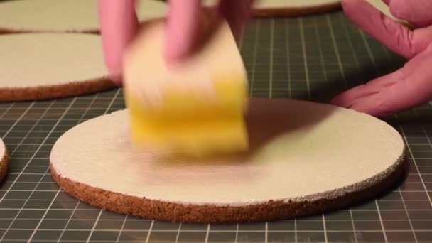 Agulha Feito Mão Uma Mulher Aplica Pasta Uma Mesa Cortical — Vídeo de Stock