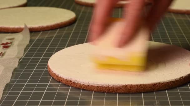 Agulha Feito Mão Uma Mulher Aplica Pasta Uma Mesa Cortical — Vídeo de Stock