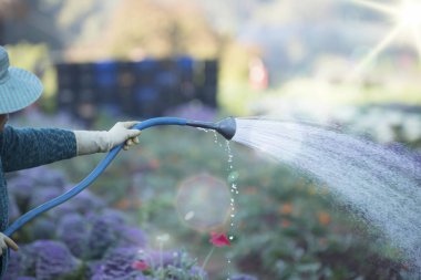 Doğal arka plan bir bitki sulama bahçıvan