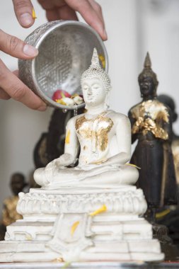 Bir Buda resim, sezon arka plan üzerine su serpin