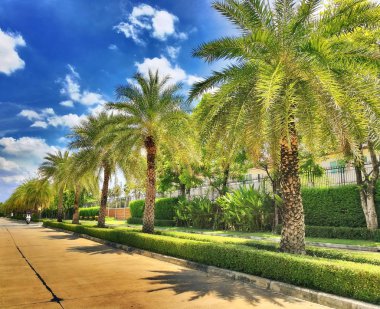 Köyden aracılığıyla alınan doğal görünümü 