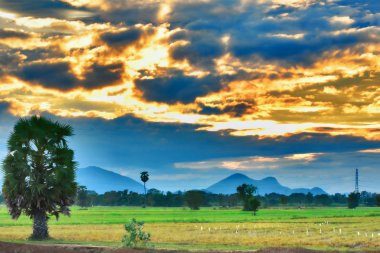 Gün batımını aç alanında yalnızdır.