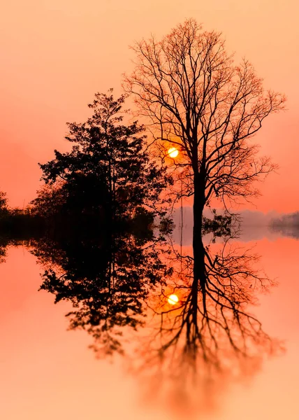 Doğal arka plan, gün batımı