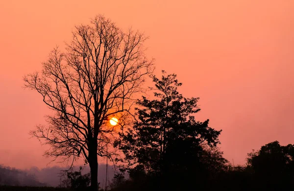 Естественный фон, закат — стоковое фото