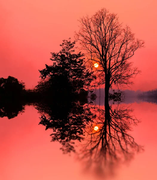 Naturlig bakgrund, solnedgång — Stockfoto