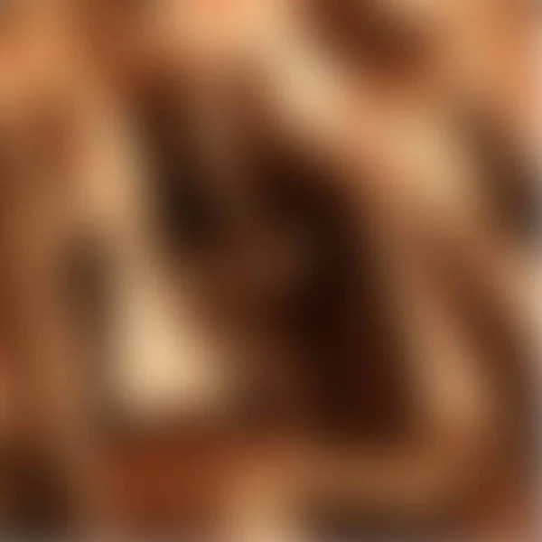 Коричневый Градиентный Фон Шаблон Презентации Баннер Обложка Реклама Листовка Брошюра — стоковый вектор
