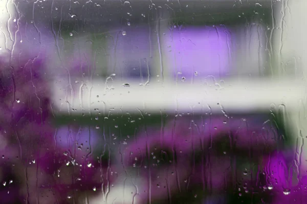 Textured Wet Window Glass Rain Drops Abstract Pupple Green Gray — Stock Photo, Image