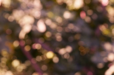 Neşeli çok renkli bulanık ışıklar ve soyut bokeh arkaplan