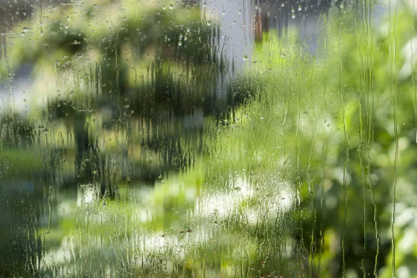 Textured wet window glass with rain drops and natural green and gray blurs