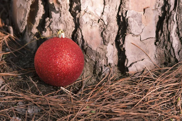 Wielka Czerwona Świąteczna Piłka Leżąca Leśnej Podłodze Obok Pnia Sosny — Zdjęcie stockowe