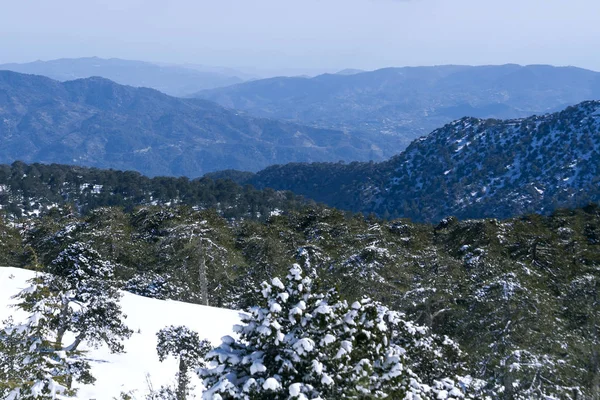 Kışın Kıbrıs Rum Kesimi 'nin pitoresk Troodos dağlarının panoramik manzarası