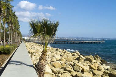 Limasol, Kıbrıs, 10 Ocak 2020: Güneşli bir kış gününde palmiye ağaçları ve panoramik manzaralı deniz manzaralı Molos gezisi