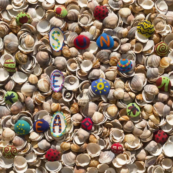 Lotes Conchas Coloridas Naturais Vários Pintados Brilhantes Com Letras Padrões — Fotografia de Stock