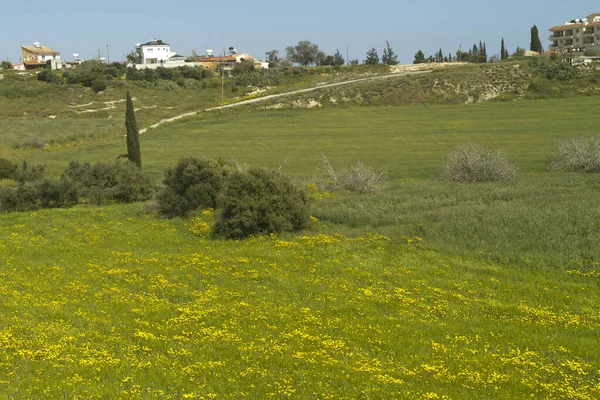 Paesaggio Rurale Con Campi Verdi Gialli Case Campagna Sulle Colline — Foto Stock