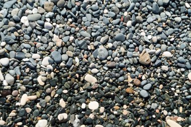 Deniz sahilinde ıslak ve kuru çok renkli çakıl taşlarının dokusu