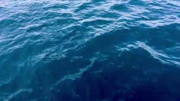 Swirling sea water close up — Stock Video