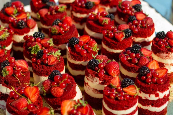Mini-Kuchen aus rotem Samt mit Brombeere in Nahaufnahme — Stockfoto