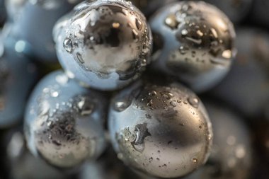 Taze üzümler ve biraz su.