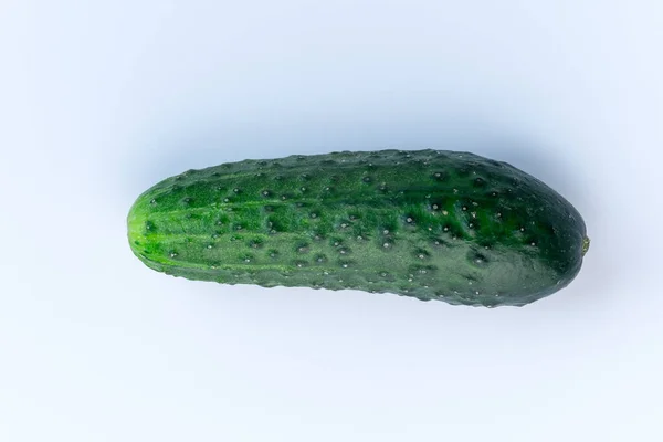 Green cucumber on a light background — Stock Photo, Image