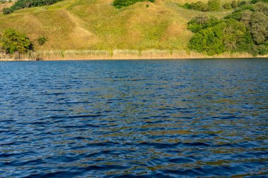 Gün boyunca okyanusun kenarında çimenler